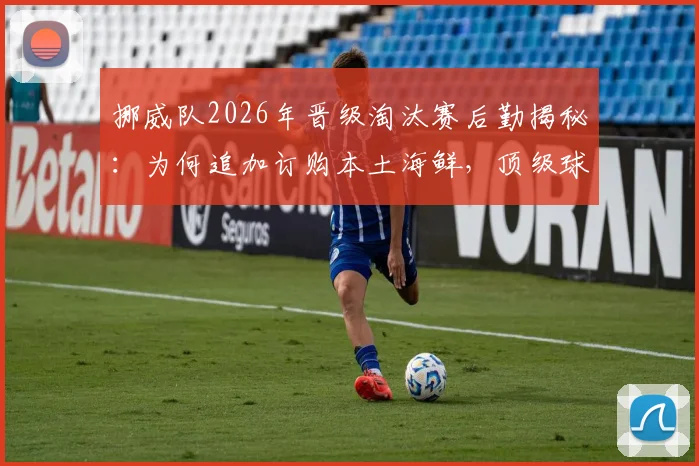 挪威队2026年晋级淘汰赛后勤揭秘:为何追加订购本土海鲜,顶级球队的食材坚持有何门道?