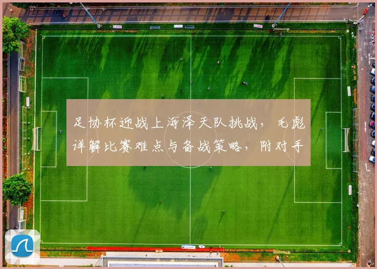 足协杯迎战上海泽天队挑战，毛彪详解比赛难点与备战策略，附对手实力解析